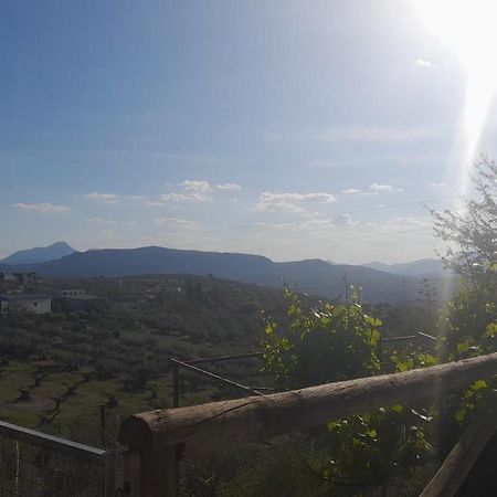 阿尔考德特Cortijo El Cerro公寓 外观 照片