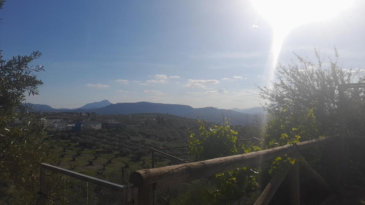 阿尔考德特Cortijo El Cerro公寓 外观 照片