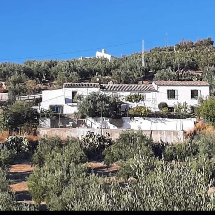 阿尔考德特Cortijo El Cerro公寓 外观 照片